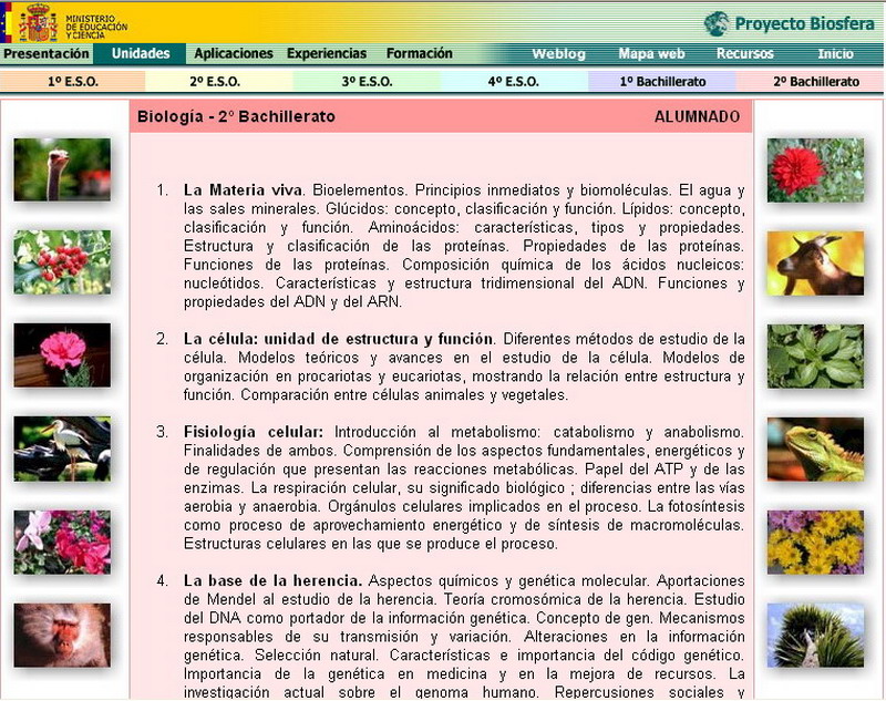 Captura 2 L