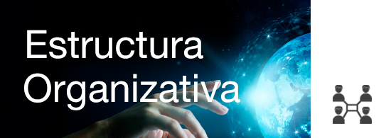 Estructura organizativa