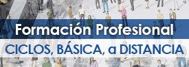 Formación Profesional
