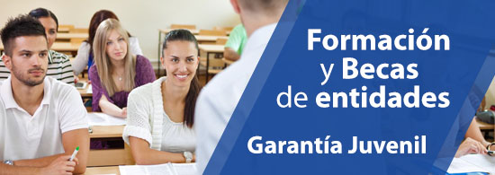 Entidades Garantía Juvenil